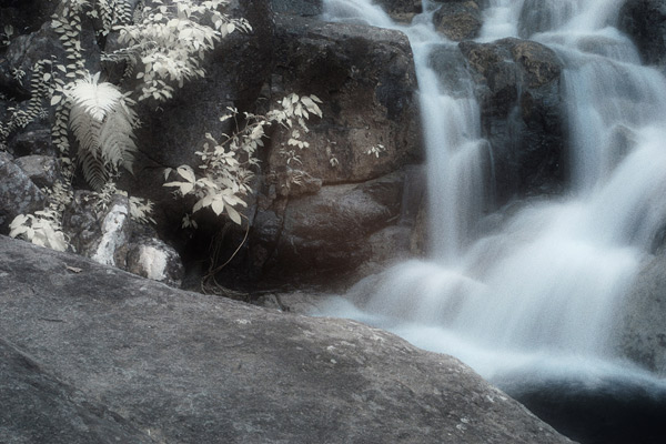 This waterfall picture was taken at 1/4 second and the effect created is identical to that of a conventional camera.